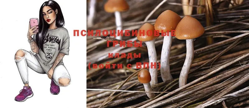 нарко площадка наркотические препараты  Бологое  Галлюциногенные грибы Magic Shrooms 